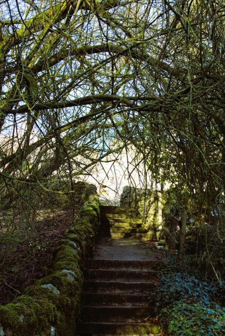 Gorgeous Cozy Cottage With A Heritage Feel, Walks, Pubs & Wood Burner Tideswell Esterno foto